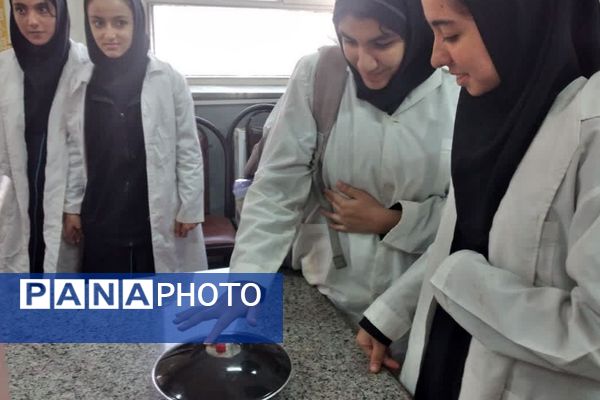 برگزاری یازدهمین همایش «آشتی با علم» در پژوهش‌سرای کاوش کهریزک