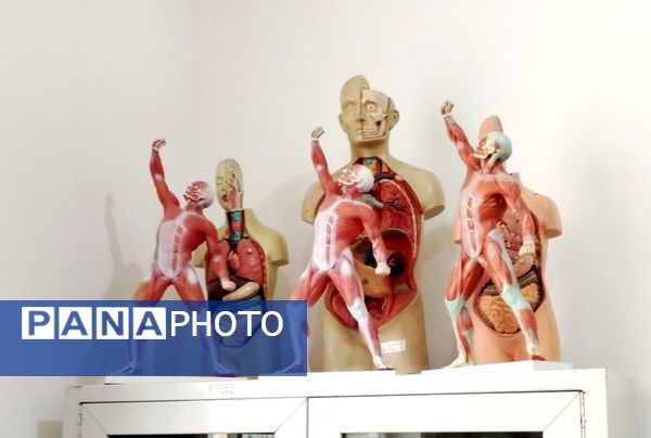 نمایشگاه  دستاوردهای علمی و تحقیقاتی دانش‌آموزان کلات