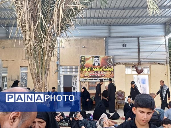 پیاده‌رویی نجف تا کربلا در آستانه اربعین حسینی 