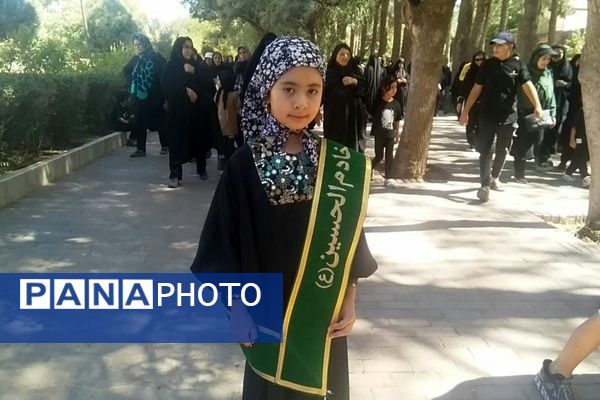 جاماندگان اربعین حسینی در  راهپیمایی حرم تا حرم نیشابور 