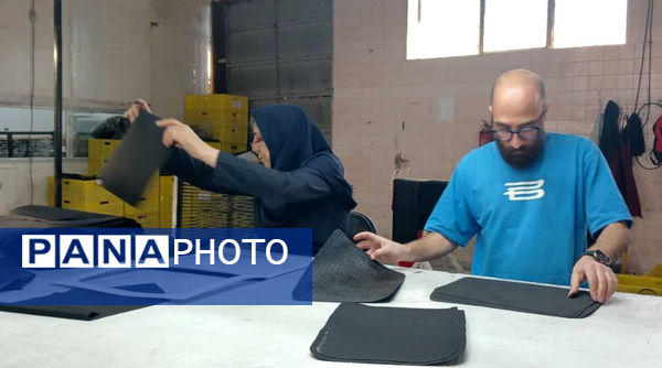 سفر یک روزه وزیر کار به البرز