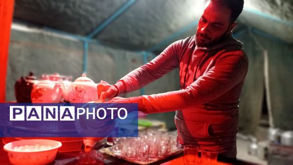 عطر غربت فاطمی در مارکده پیچید