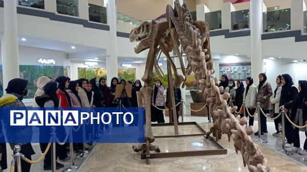 بازدید مدرسه ساره از پارک موزه علوم زمین