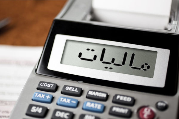 مدنی‌زاده: هوشمندسازی مالیاتی یکی از راهبردهای اصلی وزارت اقتصاد