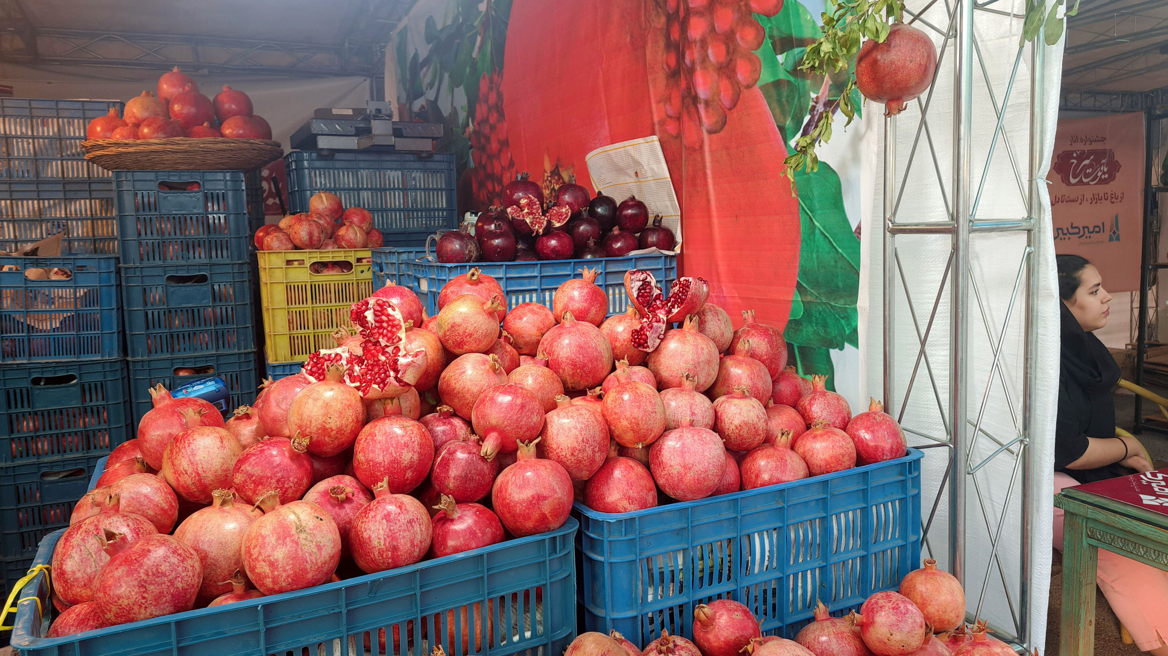 یاقوت سرخ اراک در جشنواره انار به نمایش درآمد