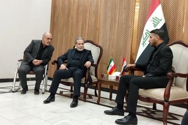 عراقچی به نجف سفر کرد
