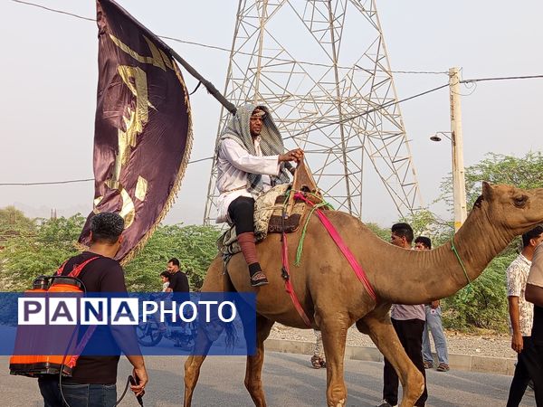 آیین باشکوه کاروان شام تا کربلا در میناب