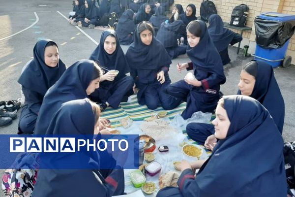 تضمین نشاط هفته با یک لقمه سلامتی