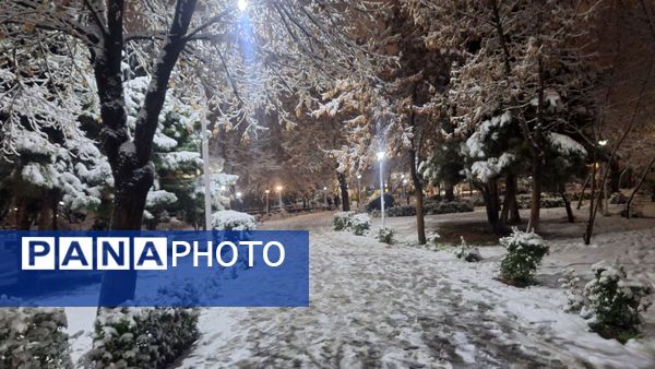 پارک‌های شهر مشهد در آغوش برف
