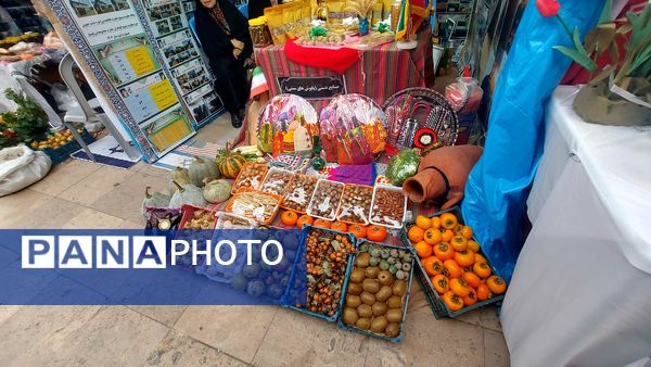  جشنواره‌ اسوه شهرستانی در تالش 