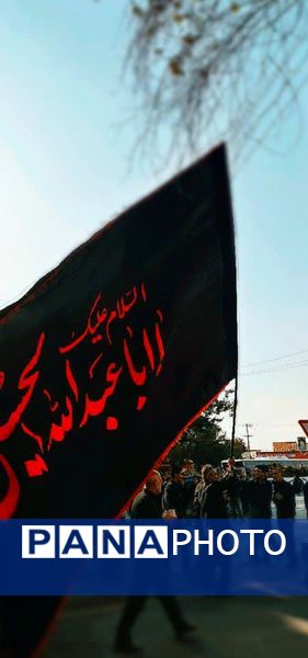 جاماندگان اربعین در شهرضا: اشک و امید در مسیر میدان حر تا امامزاده شاهرضا (ع)