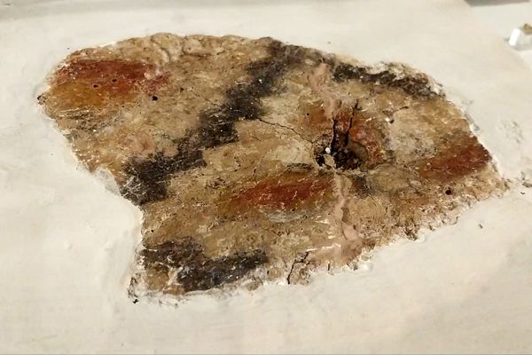 موزه ‌ها؛ میراث‌بانان میراث ملموس جامعه بشری