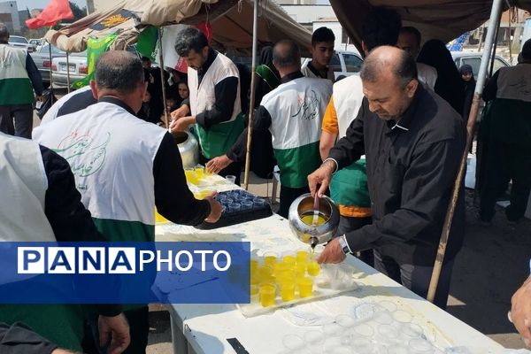 برپایی موکب امام رضا(ع) در میاندورود 