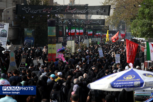 جاماندگان اربعین حسینی - تهران