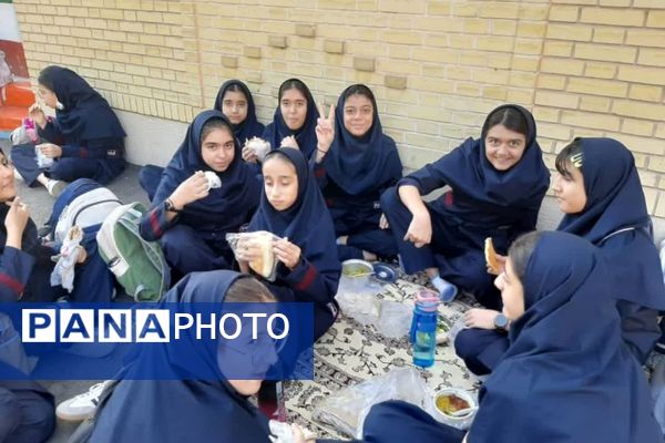 تضمین نشاط هفته با یک لقمه سلامتی