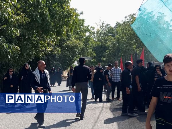 پیاده‌روی جاماندگان اربعین، راهیان کربلای ایران مشهداردهال
