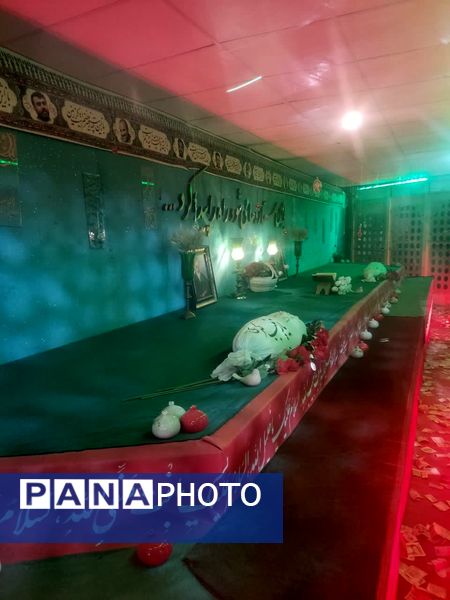 پیشتازان سرخس در دل سرزمین نور