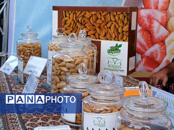 شکوفایی طعم و فرهنگ در سامان؛ دومین جشنواره بادام و گردو 