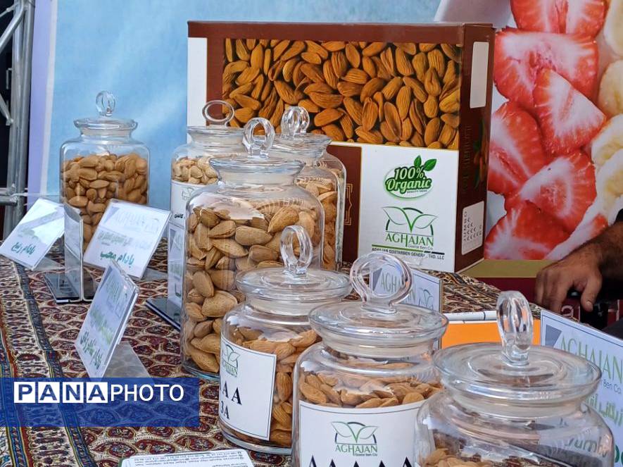 شکوفایی طعم و فرهنگ در سامان؛ دومین جشنواره بادام و گردو