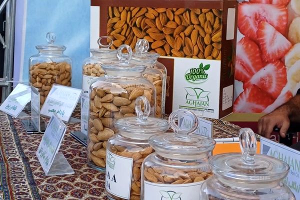 شکوفایی طعم و فرهنگ در سامان؛ دومین جشنواره بادام و گردو 