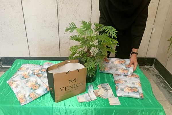 جشن عاطفه‌ها؛ نمادی از همدلی و همکاری