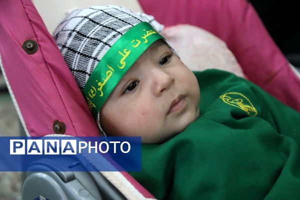 همایش شیرخوارگان حسینی در مشهداردهال کاشان