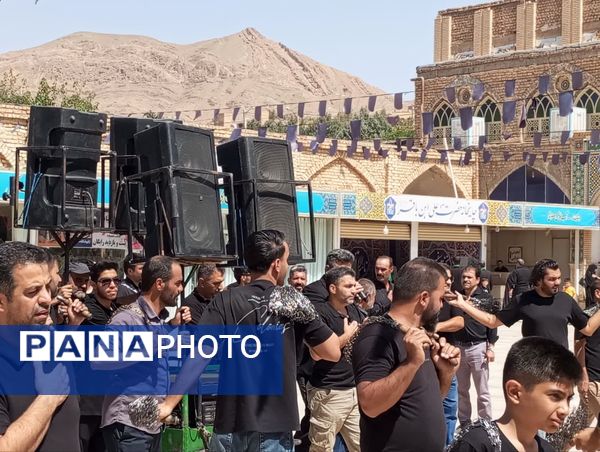 اقامه عزا و نوحه خوانی در صحن آستان مقدس حضرت سلطانعلی(ع) 