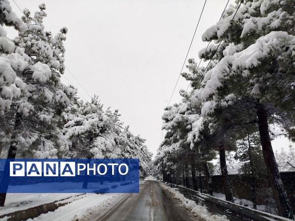 جلوه های زیبا از بارش برف در شهرستان نیشابور 
