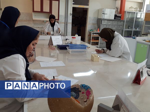 برگزاری مرحله استانی جشنواره نوآوری در بجنورد