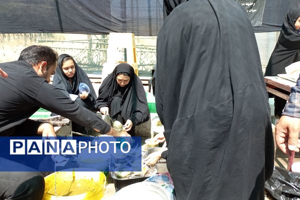 حضور زائران پیاده در جاده غدیر مشهد به نیشابور