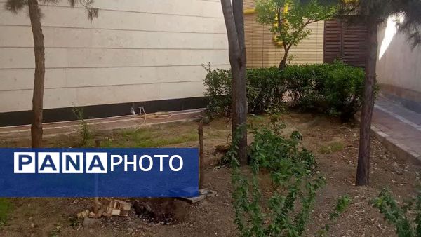 اقدامات پروژه مهر در دبستان آرمینه مصلی نژاد 