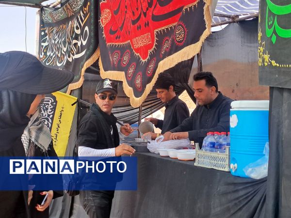 گام هایی از جنس عشق به امام رضا (ع)