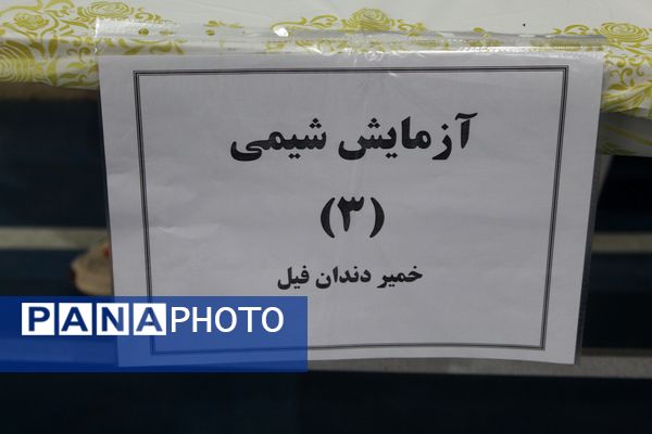 گرامیداشت روز آزمایشگاه در دبیرستان دخترانه شاهد غرویان وکیلی (۲۲)