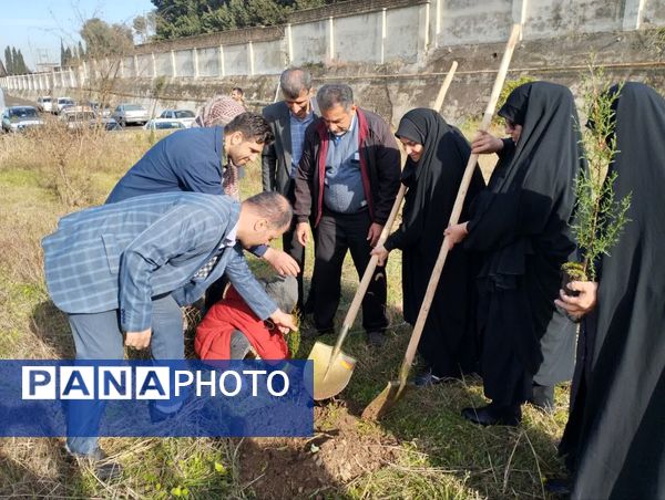 پویش سراسری کاشت نهال در سایه مادر همزمان با ایام ولادت حضرت زهرا (س) در میاندورود 