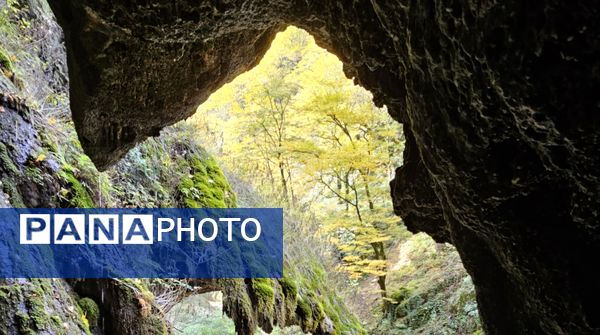 طبیعت بکر باران کوه استان گلستان