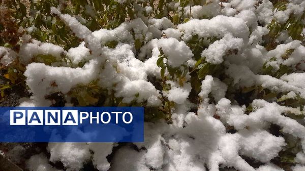 نزول برکت و نعمت در نخستین روزهای زمستانی در نیشابور