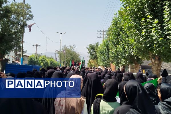 شکوه عزاداران رضوی در لردگان