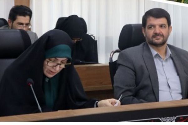 بهره‌گیری از ظرفیت‌ دستگاه‌های عضو شورا نقش به‌سزایی در ارتقای سواد جامعه دارد