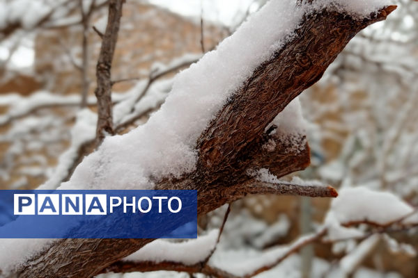 یک روز برفی در روستای بنادکوک‌ دیزه
