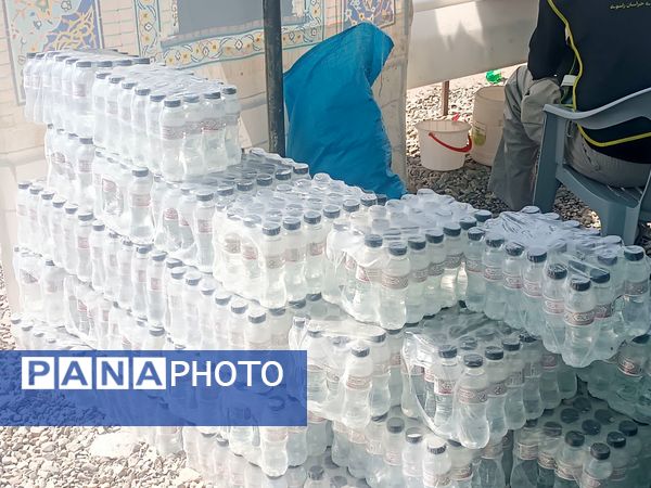 موکبی با رنگ و بوی مقاومت و شهادت 
