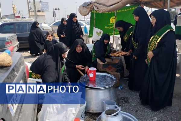 برپایی موکب امام رضا(ع) در میاندورود 