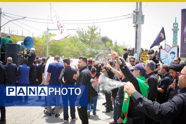 برگزاری مراسم ملی وداع نخل‌های روستاهای علوی و خاوه اردهال