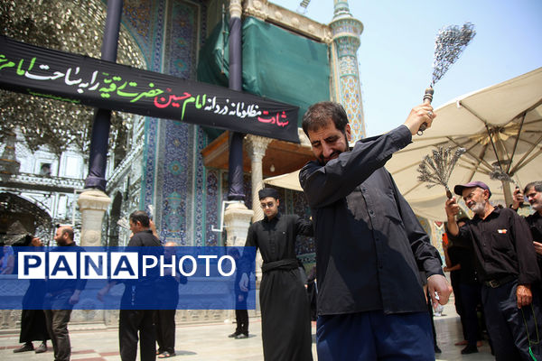 عزاداری شهادت دختر سه ساله امام حسین(ع) در قم