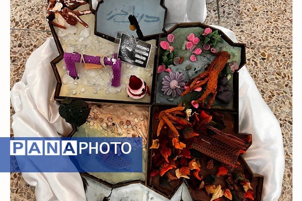 پایان کار نمایشگاه گیاهان دارویی پژوهش‌سرای کاوش کهریزک 