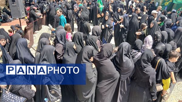 پیاده‌روی جاماندگان اربعین حسینی در شهرستان نظرآباد 