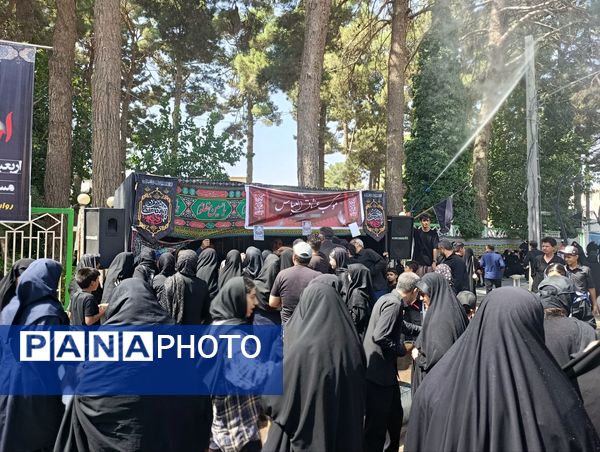 پیاده‌روی جاماندگان اربعین در تربت حیدریه 