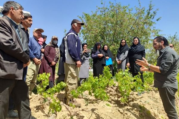 برگزاری کلاس آموزشی ترویجی مدیریت تغذیه باغات انگور در شهر زیارت