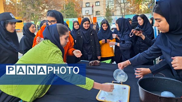 موکب مادر پهلو شکسته