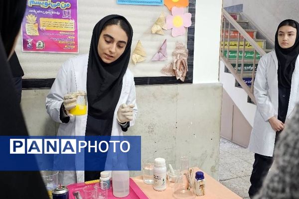 بازدید مسئول پژوهش سرای دکتر حسابی از دستاوردهای دانش‌آموزان  مدرسه شاهد شهید نوری