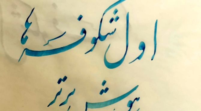 جشن شکوفه‌های آموزشگاه در سفیددشت 